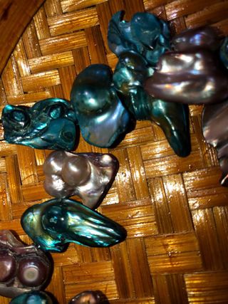 Pulsera Conchas Abulón Morado/Teal