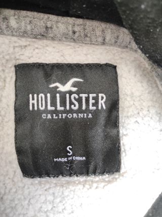 Sudadera marca Hollister