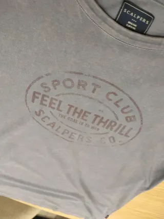 Camiseta Scalpers Gris Estampada