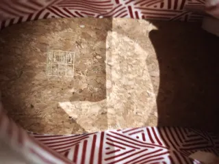 Zapatos barefoot hombre beige