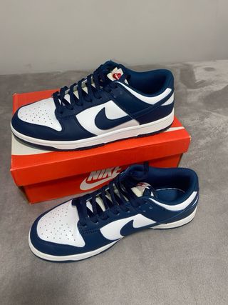 Nike Dunk Low Azul y Blanco