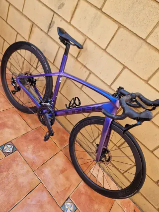 Bicicleta Trek Domane Morada arcoiris