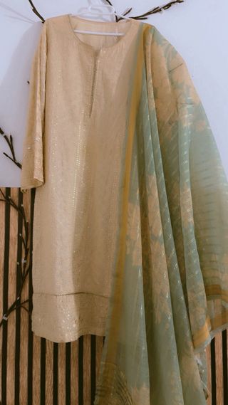 Vestido pakistaní beige y verde