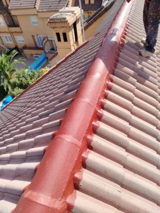 TEJADOS MARAVILLA DIGA ADIÓS A SU GOTERA