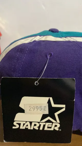 Gorra Starter NBA Charlotte Hornets Panel Stripe