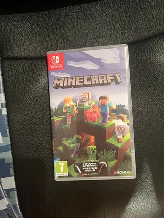Minecraft Nintendo Switch