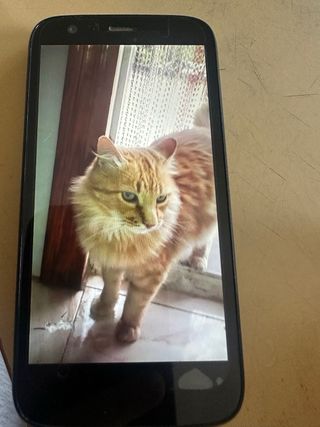 Móvil Motorola Moto G