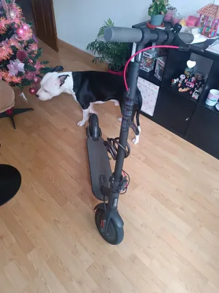 Patinete Eléctrico Xiaomi 3 Lite