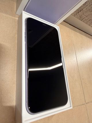 iPhone 11 Viola