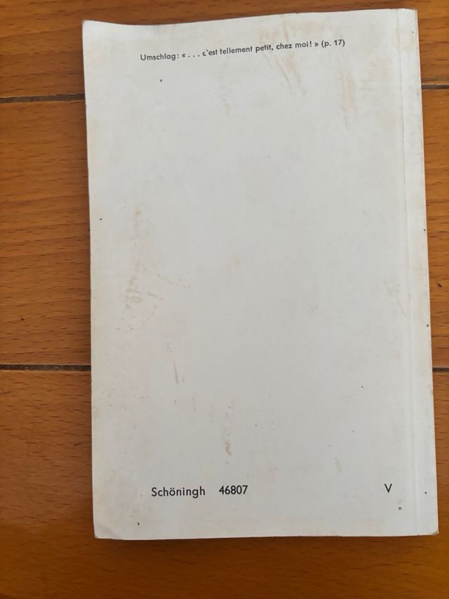 le petit prince- el principito