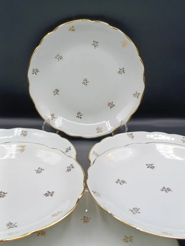Set platos llanos porcelana francesa CNP