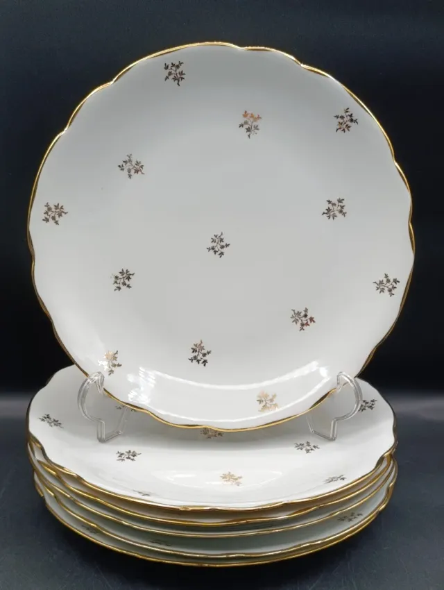 Set platos llanos porcelana francesa CNP