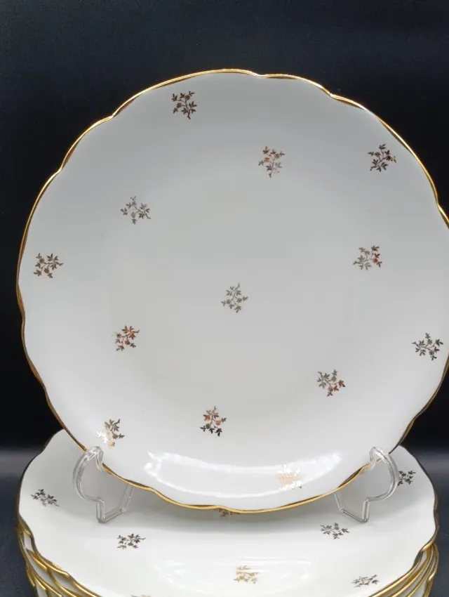 Set platos llanos porcelana francesa CNP