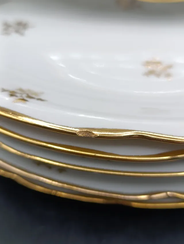 Set platos llanos porcelana francesa CNP