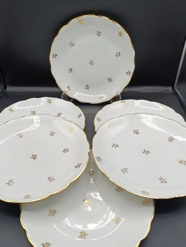 Set platos llanos porcelana francesa CNP