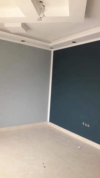 Servicio de Pintura Profesional