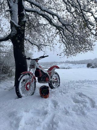Beta Jordi Tarrés Trial Moto