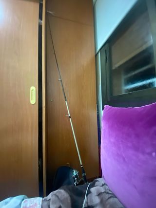 Caña de pescar Carpelan Spinning