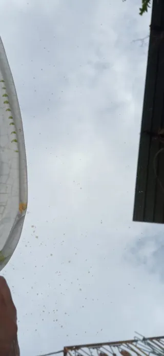 Specchio con cornice floreale in ceramica