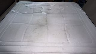 limpieza de sofás colchones alfombras