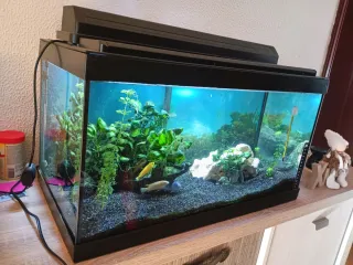 Acuario Marina 60L + Calentador