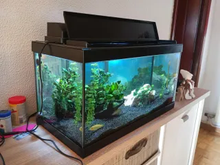 Acuario Marina 60L + Calentador