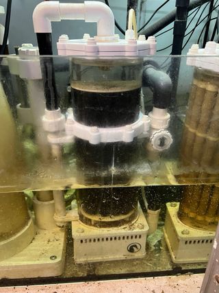 Reactor Ozono Marino Acuario