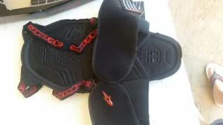 Espaldera Alpinestars Bionic Nueva