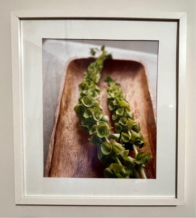 Conjunto de 3 cuadros decorativos