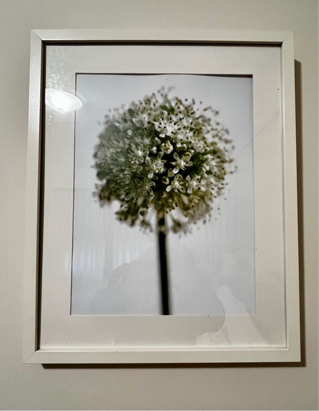 Conjunto de 3 cuadros decorativos