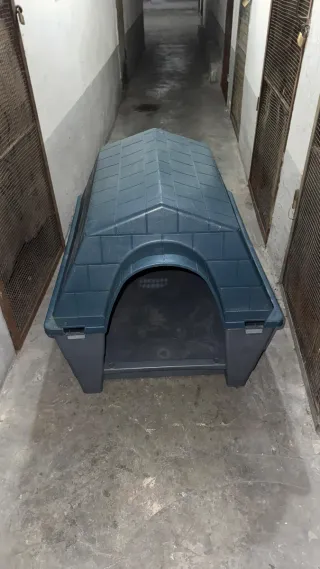 Caseta Perro Mediano/Grande