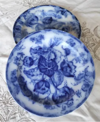 2 Piatti Richard 1880/90 Decorati Blu