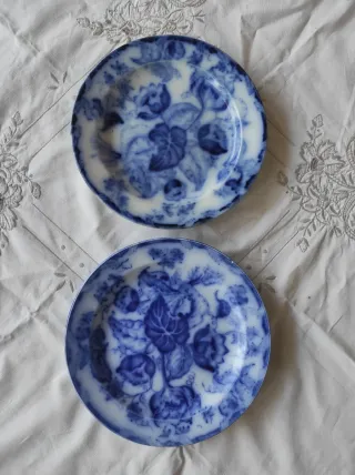 2 Piatti Richard 1880/90 Decorati Blu
