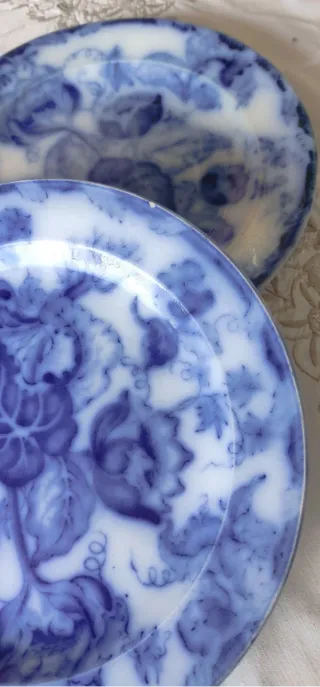 2 Piatti Richard 1880/90 Decorati Blu