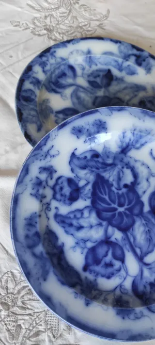 2 Piatti Richard 1880/90 Decorati Blu