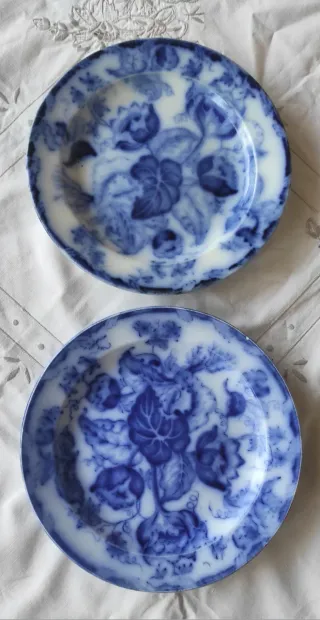 2 Piatti Richard 1880/90 Decorati Blu