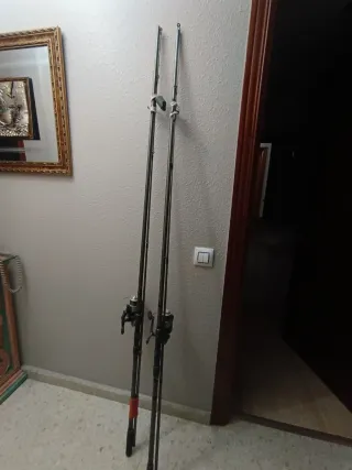 2 Cañas de Carpfishing
