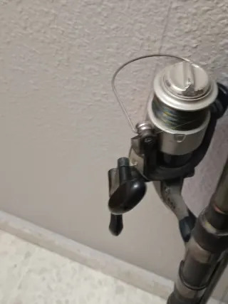 2 Cañas de Carpfishing