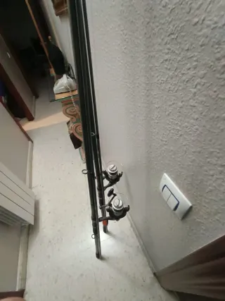 2 Cañas de Carpfishing