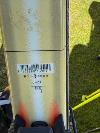 Esquís con bastones