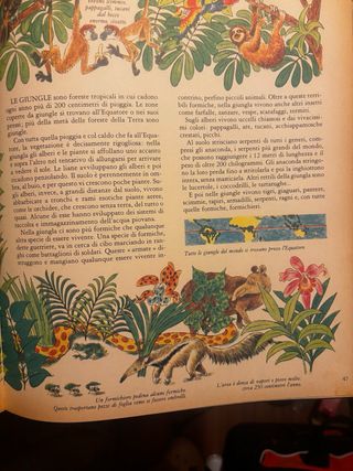 Lo sai com’è fatto il mondo