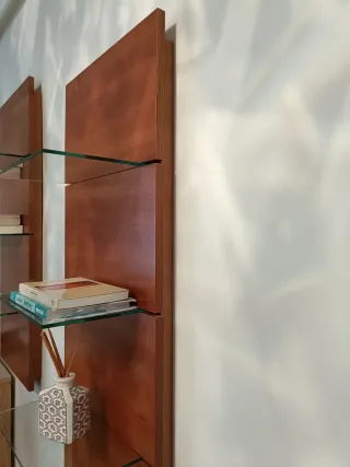 Dos estantería madera y cristal