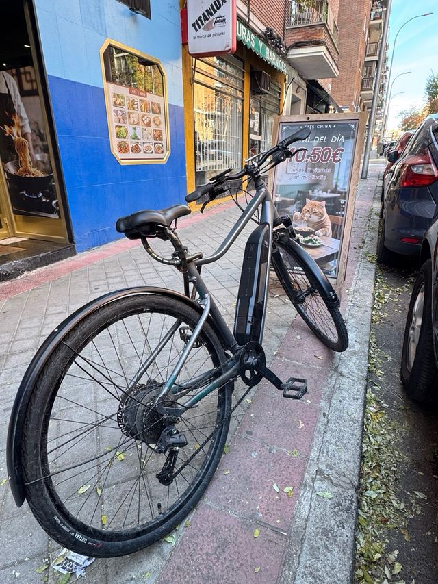 Bicicleta elettrica