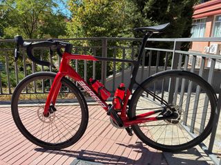 Berria Belador 2024 Roja