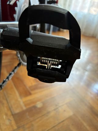 Berria Belador 2024 Roja