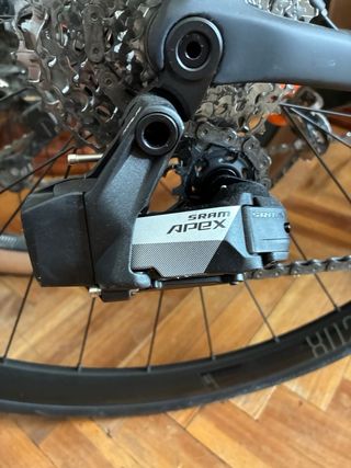 Berria Belador 2024 Roja