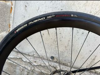 Berria Belador 2024 Roja