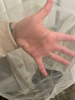 Cancán fallera niña