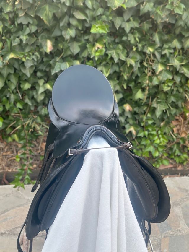 Montura Doma Caprilli Negra