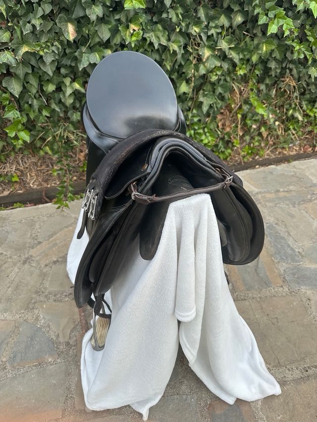 Montura Doma Caprilli Negra